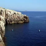 Coastal Gem *