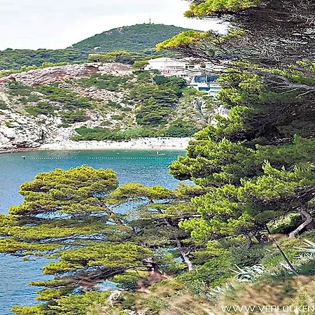 Coastal Gem *