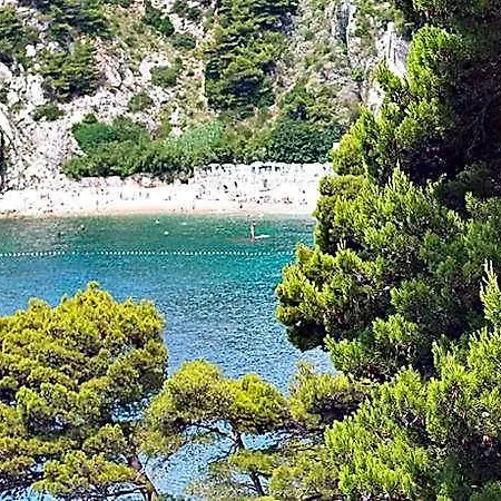 Coastal Gem Apartament