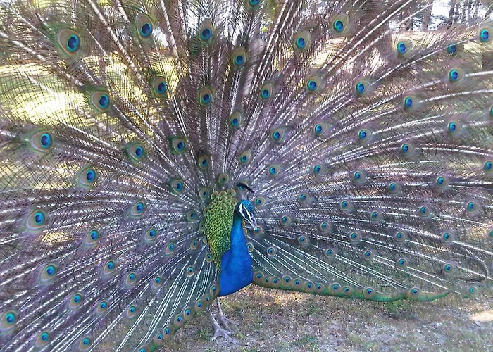 Appartement Coastal Gem